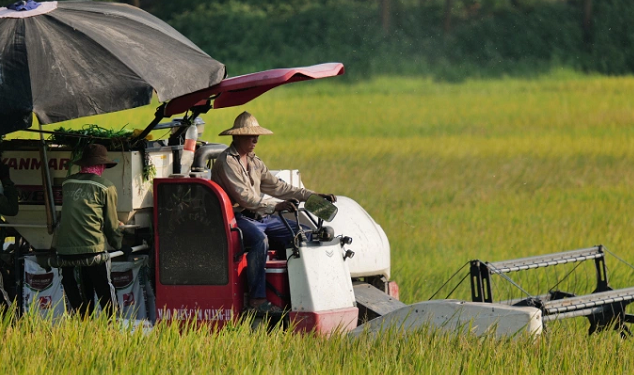 Ngành gạo rơi vào “vùng trũng” lợi nhuận ngay quý đầu năm